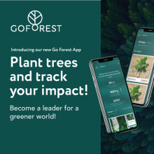 La nouvelle application de Go Forest est là!