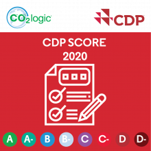 CDP score 2020