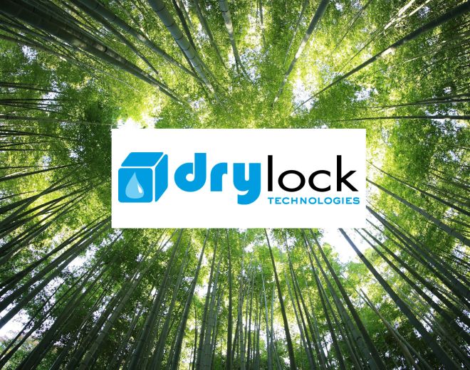 Drylock - leader in sustainable hygiene product segment